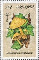 Leucocoprinus birnbaumii