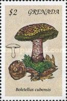 Boletellus cubensis