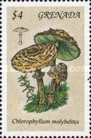 Chlorophyllum molybdites