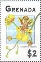 Oncidium ceboletta