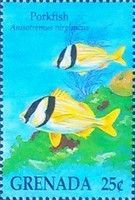 Porkfish (Anisotremus virginicus)