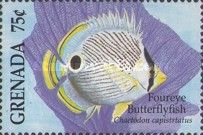 Foureye butterflyfish (Chaetodon capistratus)