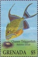 Queen triggerfish