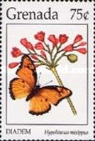 Diadem or Danaid Eggly (Hypolimnas misippus)