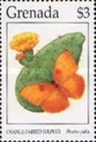 Orange-barred Sulphur (Phoebis philea)
