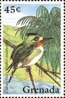 Cuban Tody Todus multicolor