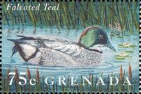 Falcated Teal (Mareca falcata)