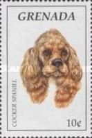 Cocker spaniel