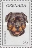 Rottweiler