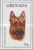 German shepherd