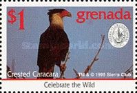 Crested Caracara (Caracara plancus)