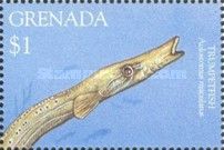 Trumpetfish (Aulostomus maculatus)