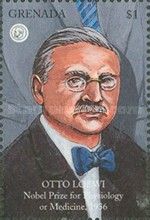 Otto Loewi, physiology or medicine, 1936