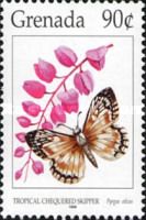 Tropical Checkered Skipper (Pyrgus oileus)