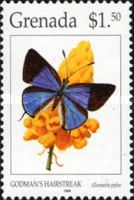 Godman's Hairstreak (Allosmaitia piplea)