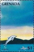 Dolphins