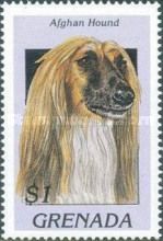 Afghan hound
