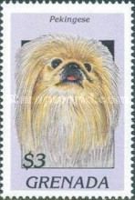 Pekingese