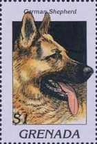 German shepherd