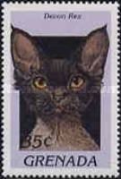 Devon rex