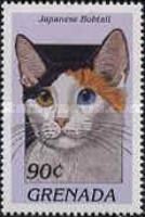 Japanese bobtail