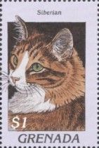 Siberian