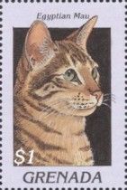 Egyptian mau