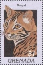 Bengal