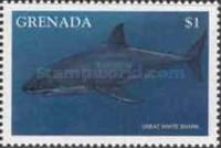 Great white shark