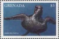 Green sea turtle
