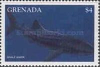 Whale shark