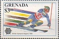 Slalom skier
