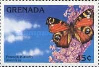 European peacock (Inachis io)