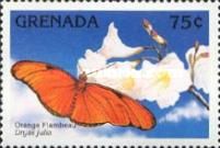 Flambeau (Dryas julia)