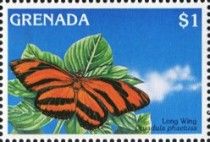 Banded Longwing (Dryadula phaetusa)