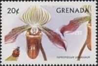 Paphiopedilum urbanianum
