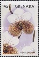 Euanthe sanderiana