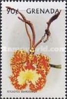 Psychopsis kramerianum