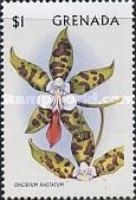 Oncidium hastatum
