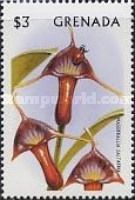 Masdevallia saltatrix