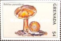 Boletus parasiticuss