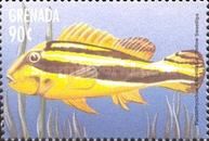 Yellow sweetllips (Plectorhinchus albovittatus)