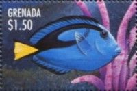 Regal tang
