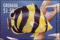 Banded butterflyfish (Chaetodon striatas)