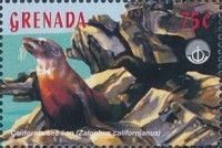 California sea lion