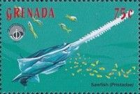 Sawfish