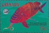 Blue-spotted goatfish