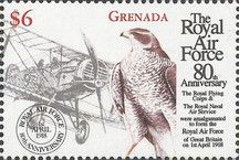 Biplane; Northern Goshawk (Accipiter gentilis)
