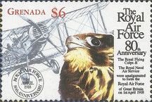 Biplane, Peregrine Falcon (Falco peregrinus)