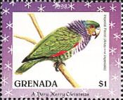 Imperial Parrot (Amazona imperialis)